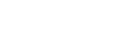 Credit Lion